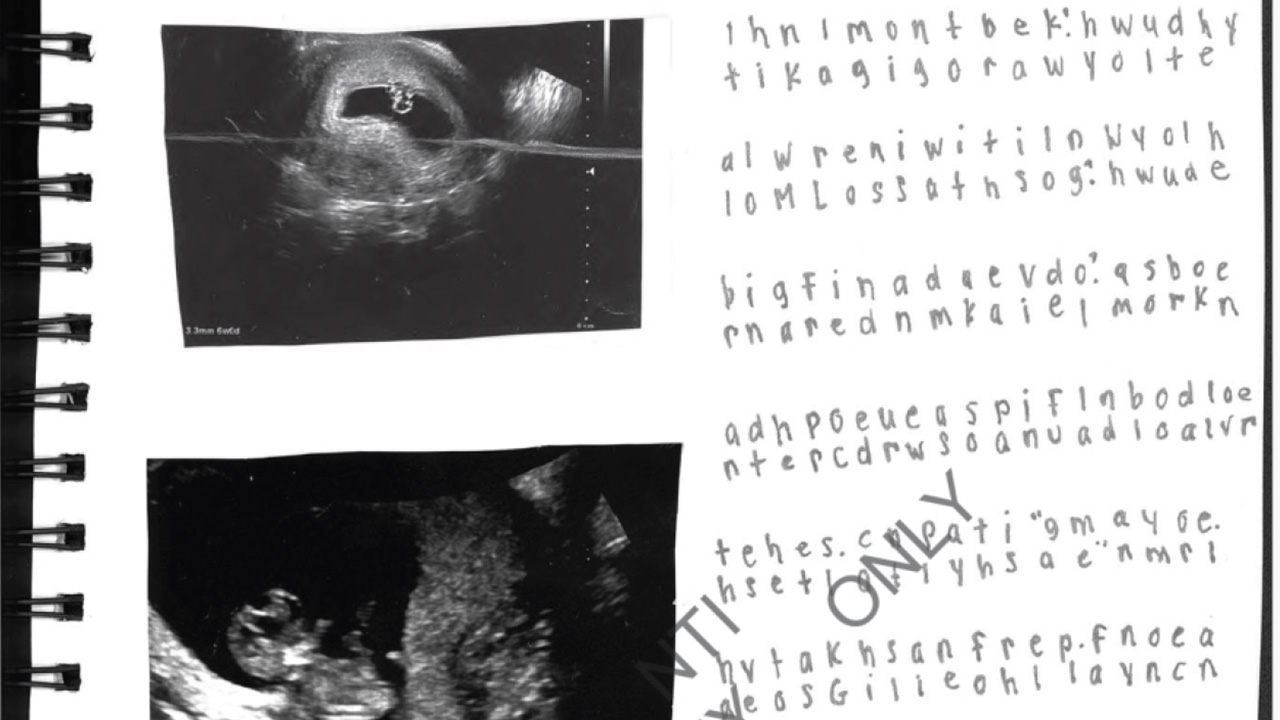 The Coded Journals in the Epstein Files That Hide a Teenage Girl’s Horrific Story