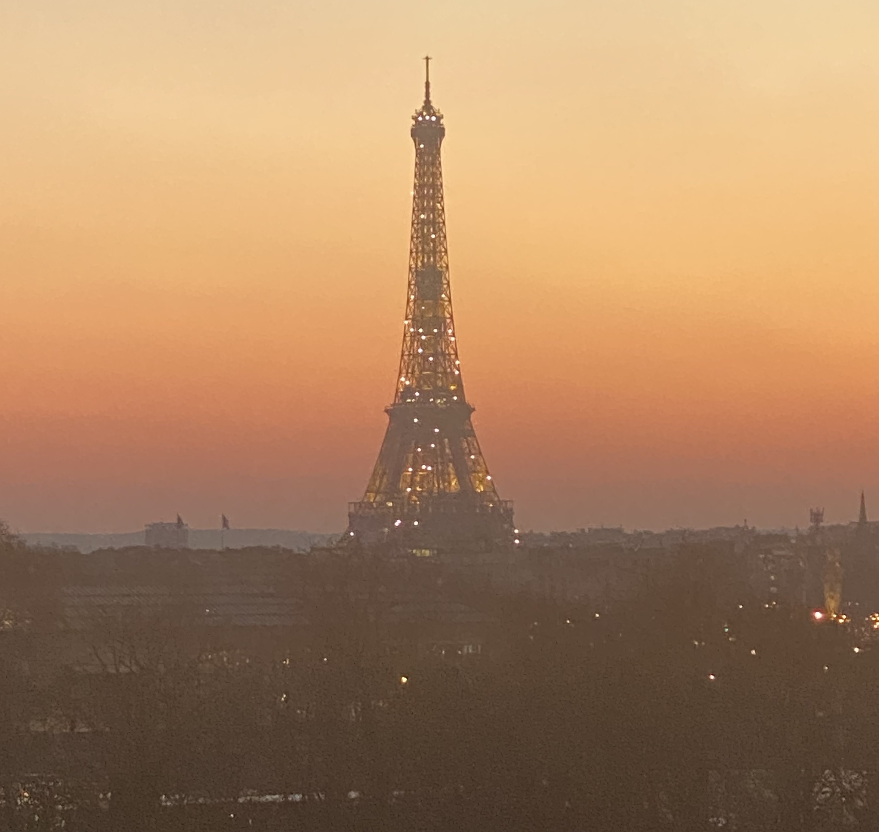 Trending in my DMs: A Guide to Paris's Left Bank