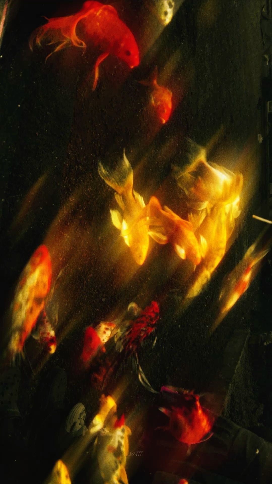 Substack profile picture for @maiev