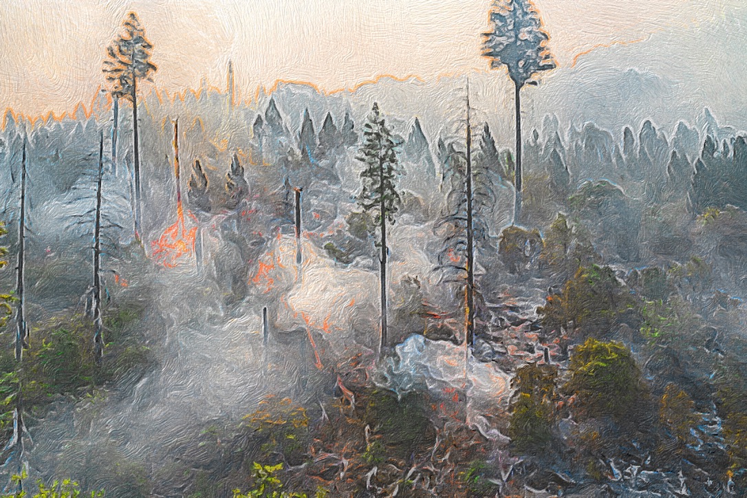 scorched earth as a story of survival, not submission