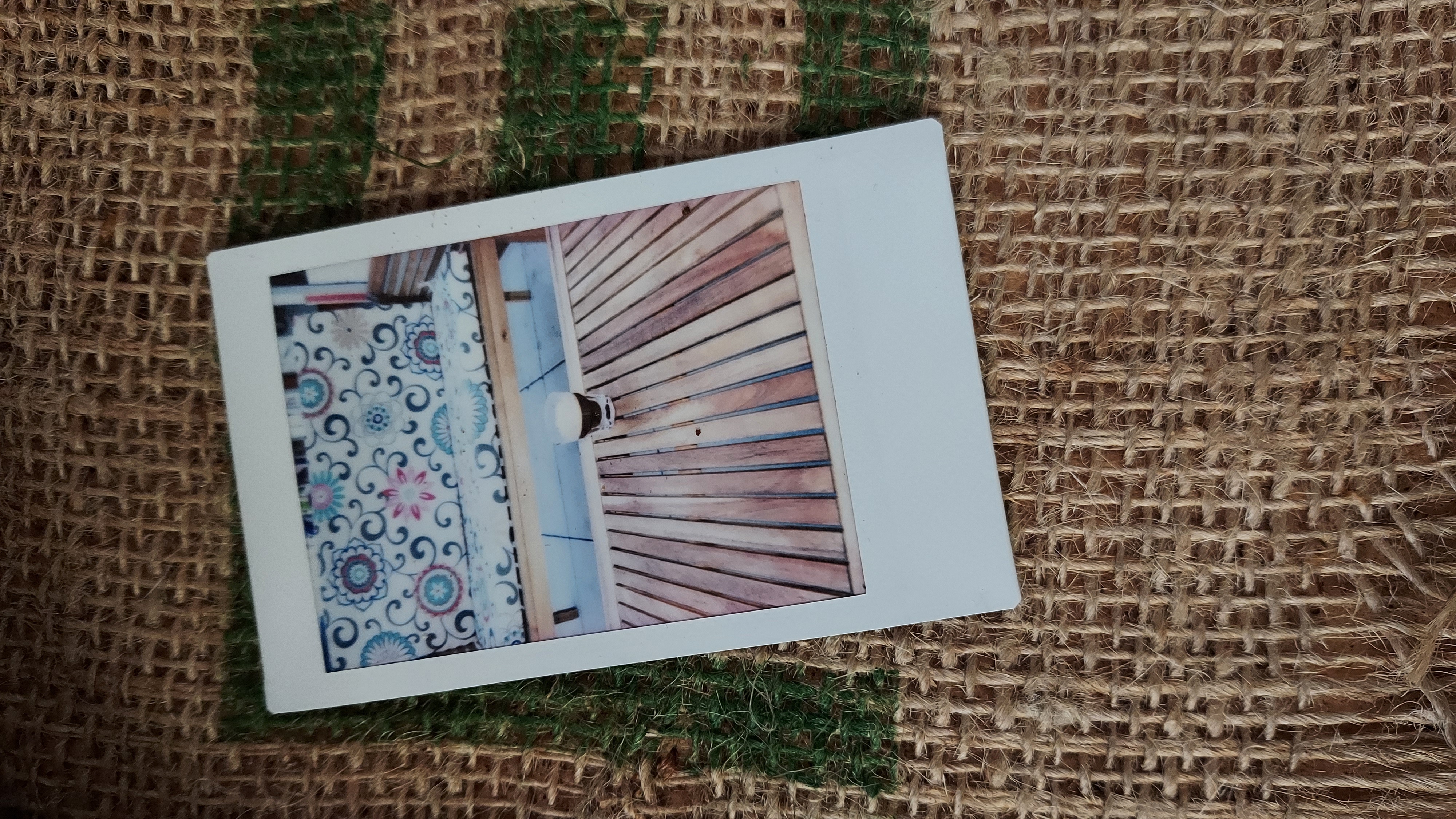 365 Snaps: February
