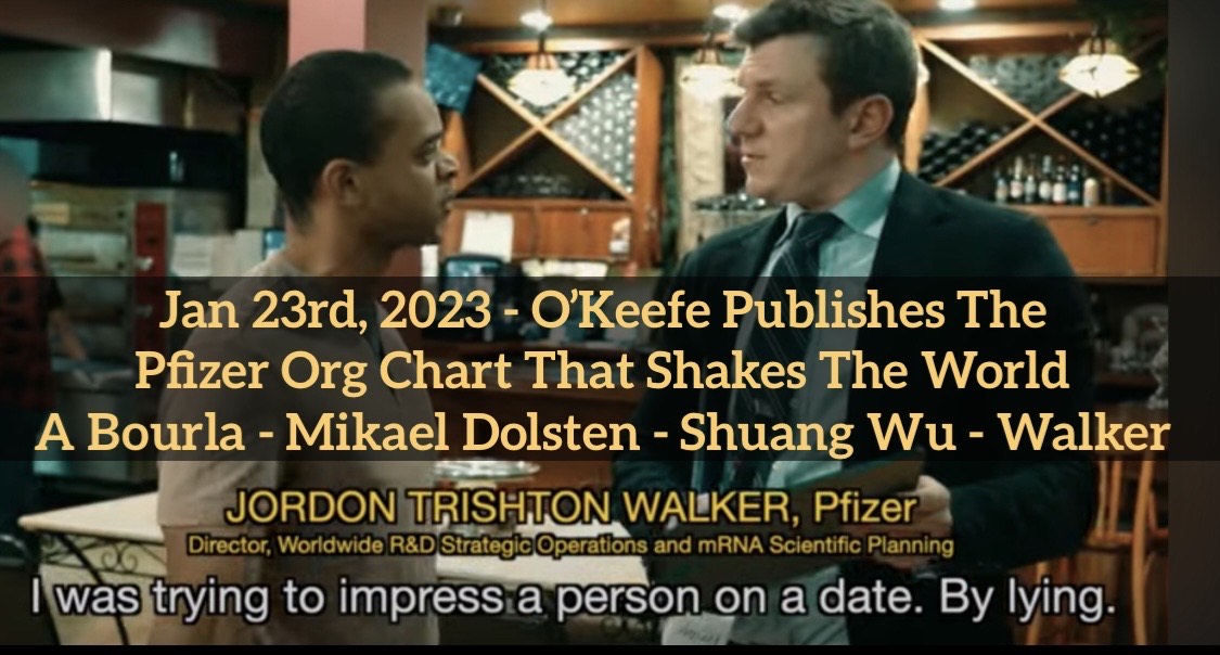 James O'Keefe's Pfizer Org Chart Unlocks History – If Only He Would Do A Deep Dive On It