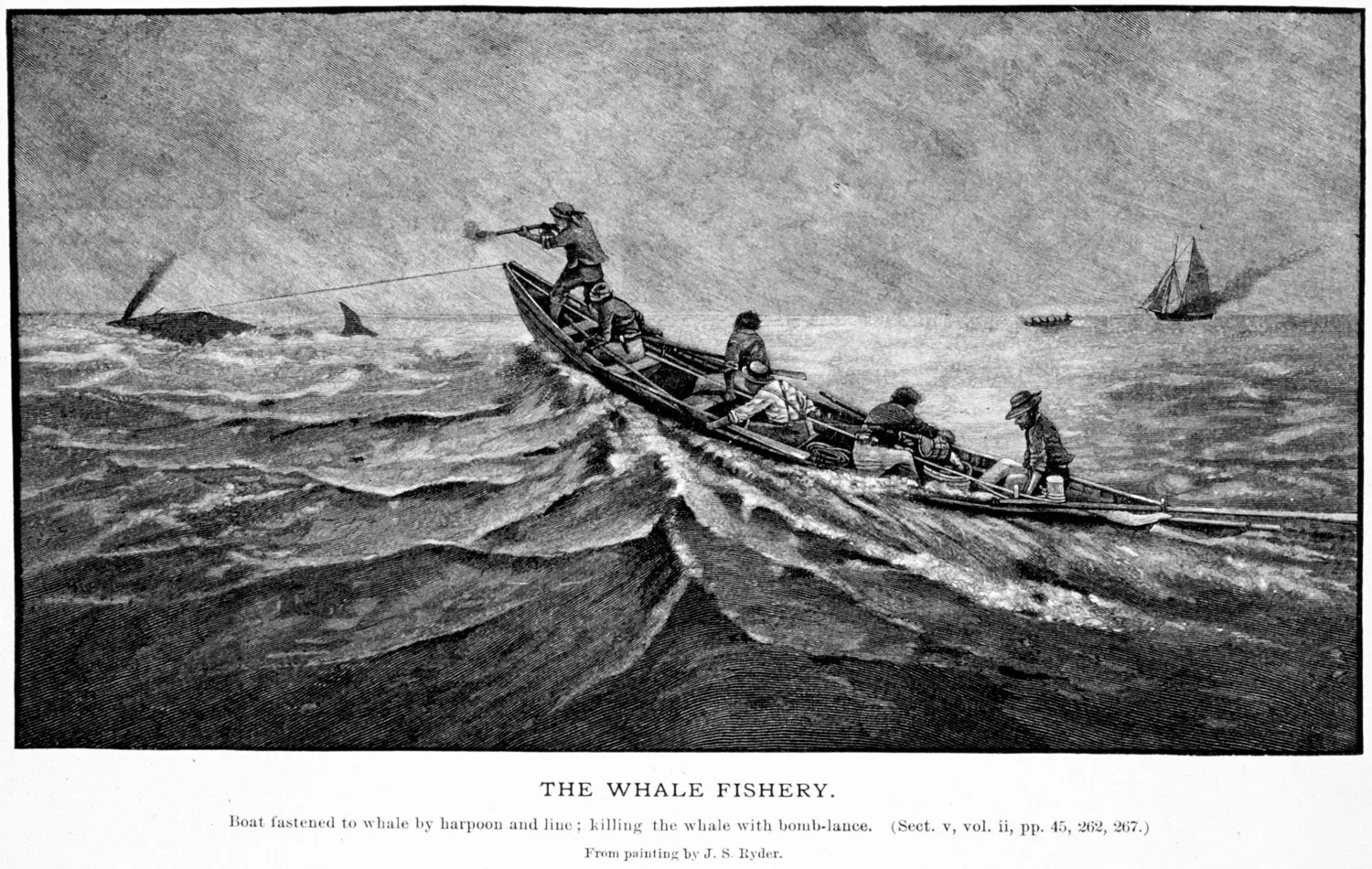 Fastened to the whale by harpoon, firing the bomblance