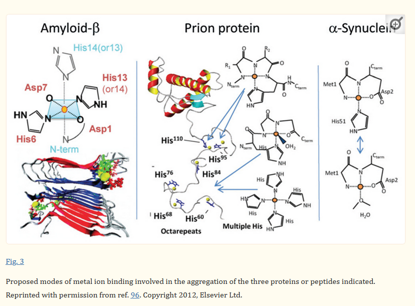 Everybody Talks About Amyloid Or Prions In Relation To C19 Bioweapons ...