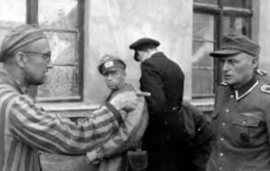 Remarkable Holocaust Nonsense #82: Jozef Pribula’s Skull