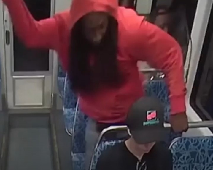 The Jewish War on the Memory of Iryna Zarutska The Jewish War on the Memory of Iryna Zarutska