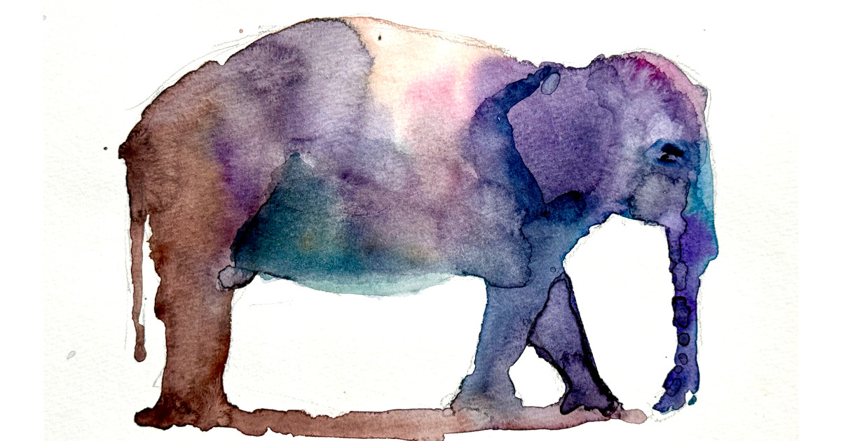 One Shape, Many Colours