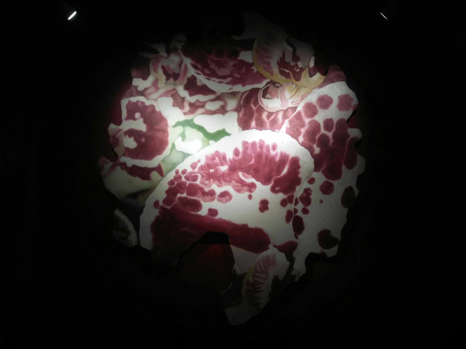 just some thought - jane’s Substack