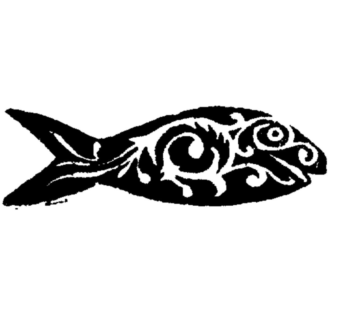 A Translator’s CV, or How I Became Multilingual: a real introduction to this newsletter 