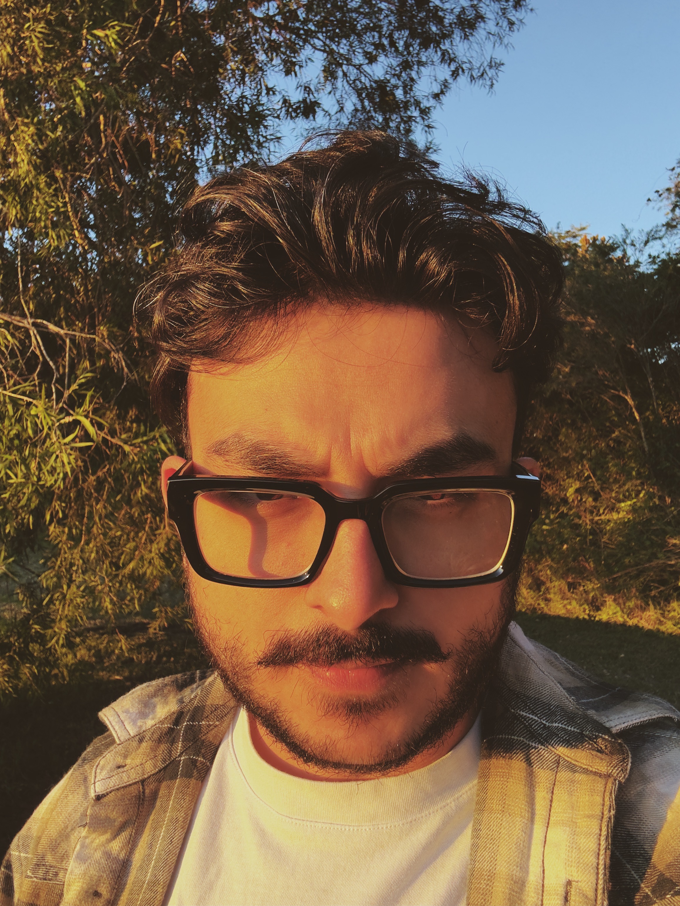 Substack profile picture for @risha