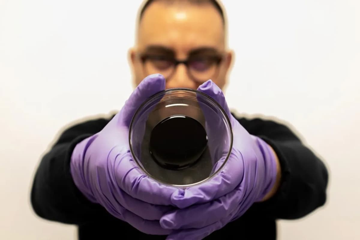 Self-healing asphalt uses plant spores to keep potholes from forming
