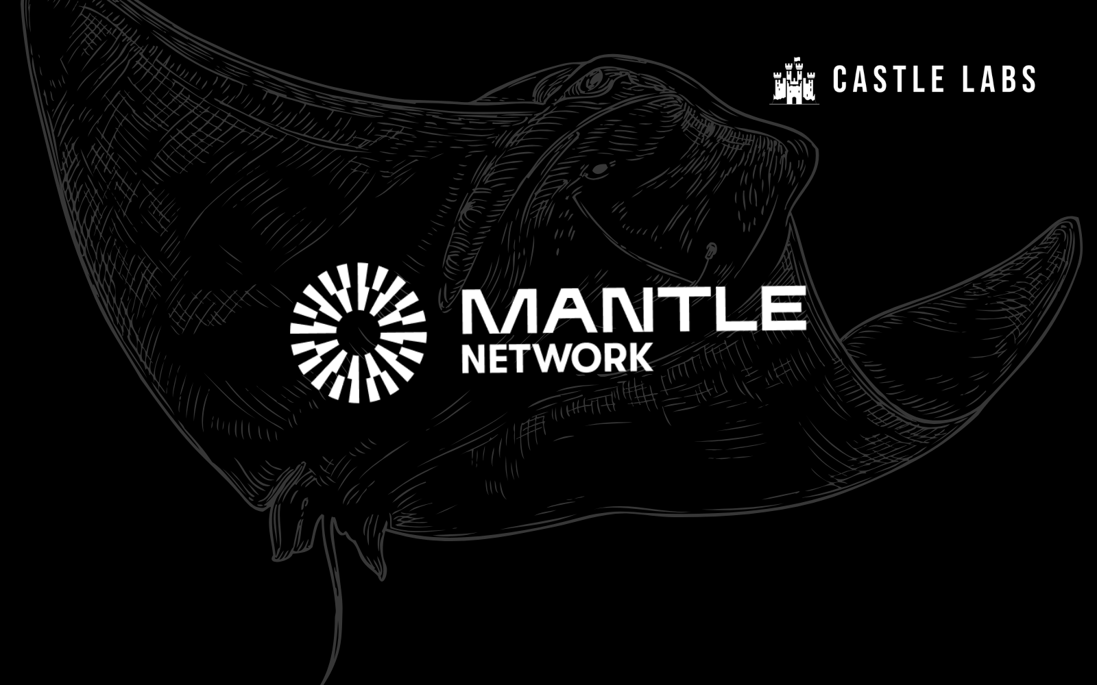 Mantle's Momentum: Short-Term Catalysts and Onchain TVL