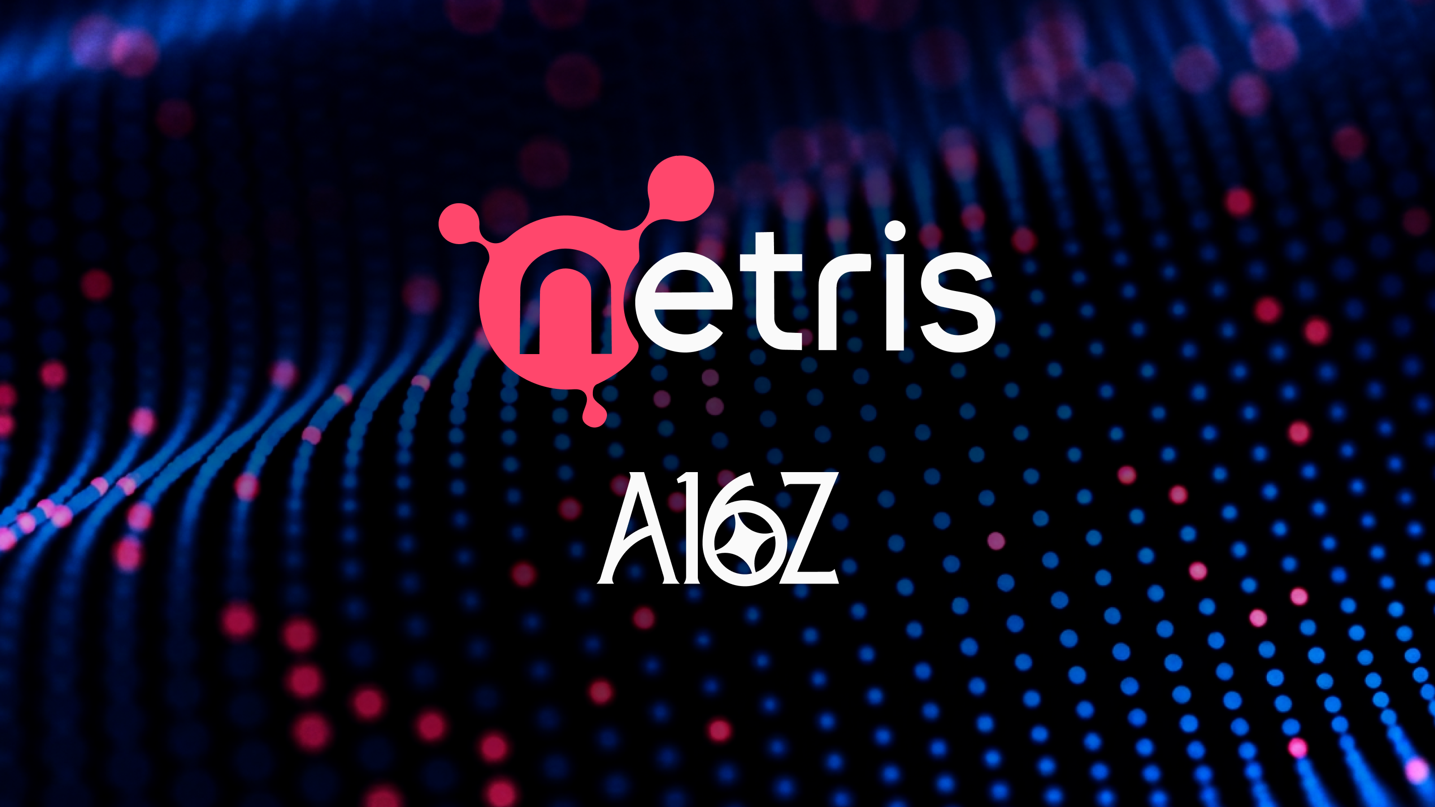 Investing in Netris