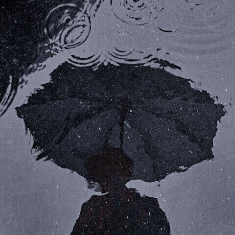 Substack profile picture for @startle