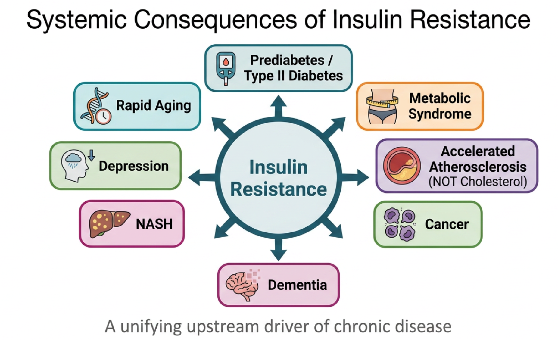 Insulin Resistance: The Silent Engine of Modern Disease
