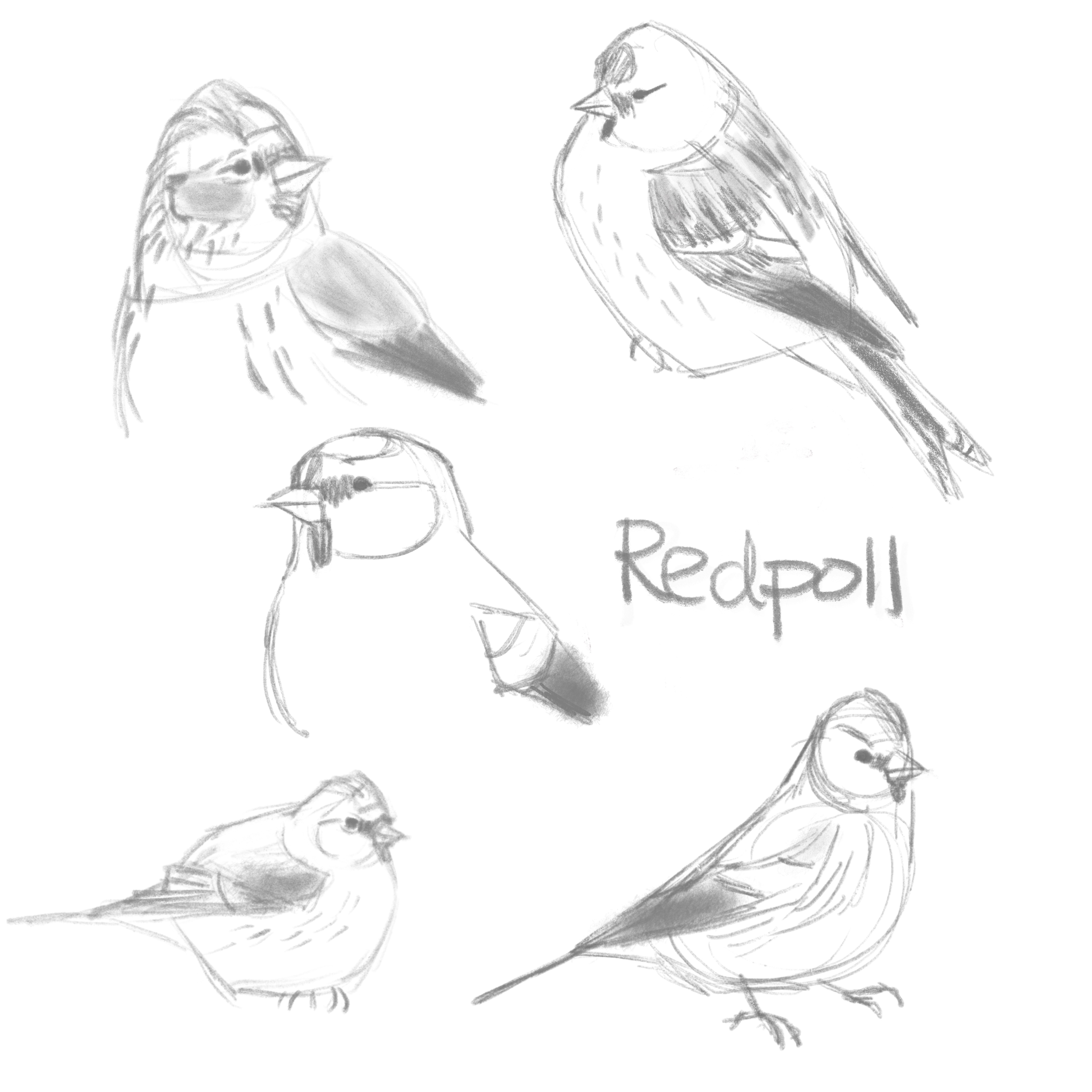 Join me on Zoom this Sunday 11/9/25 to celebrate Love Letters to