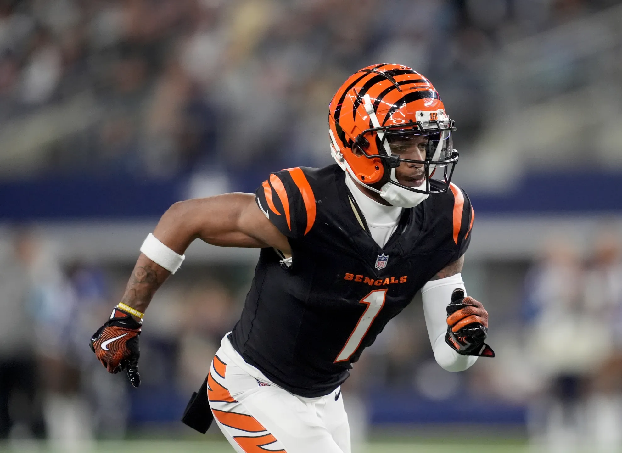 High stakes draft results, 8/27 and 8/28