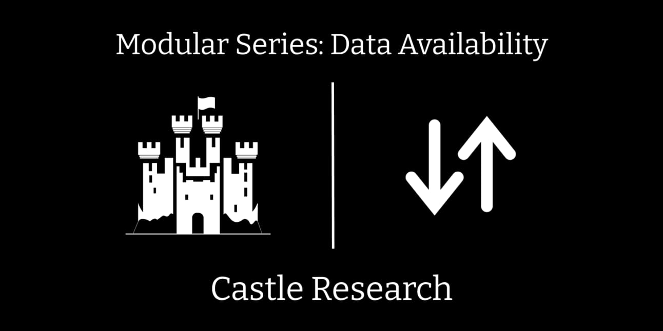 A Deep-Dive into Data Availability
