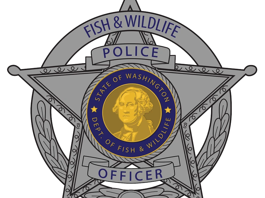 Washington Man Sentenced to Nearly a Decade in Prison for Elk Poaching