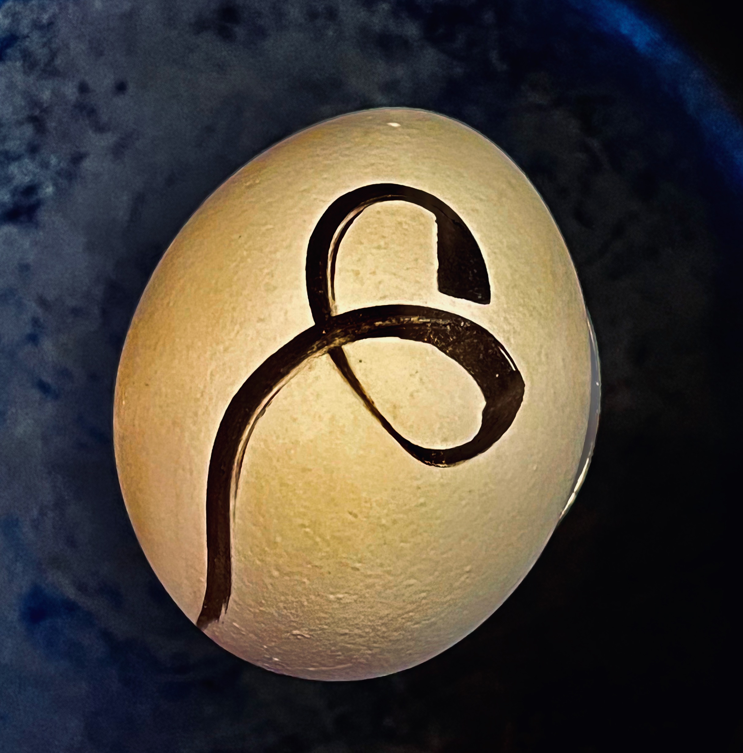 Substack profile picture for @patrickaucella