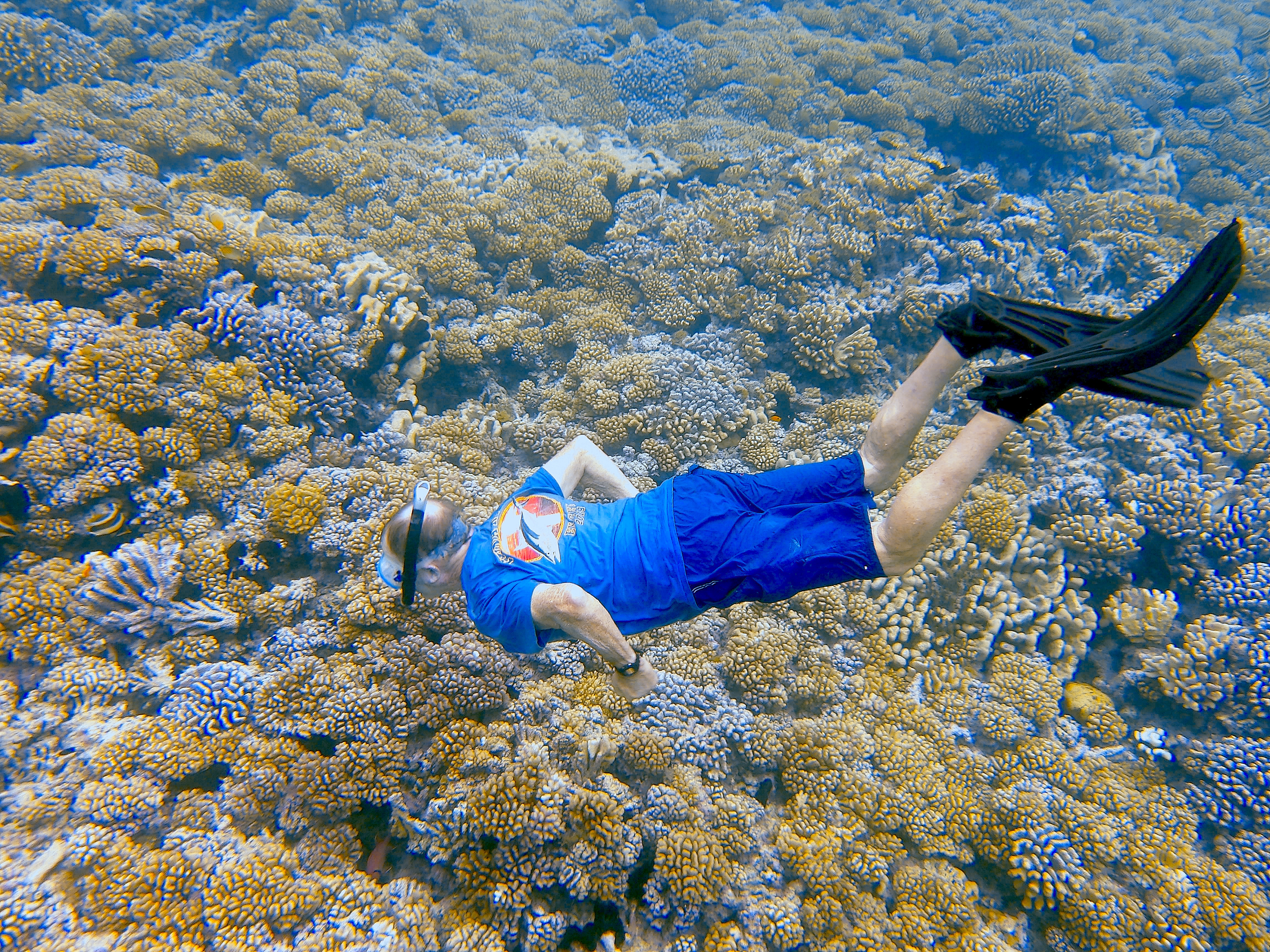 Darwin and the Old Man