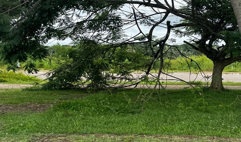 Alex Redano solicita limpeza e manutenção do Espaço Alternativo de Porto Velho