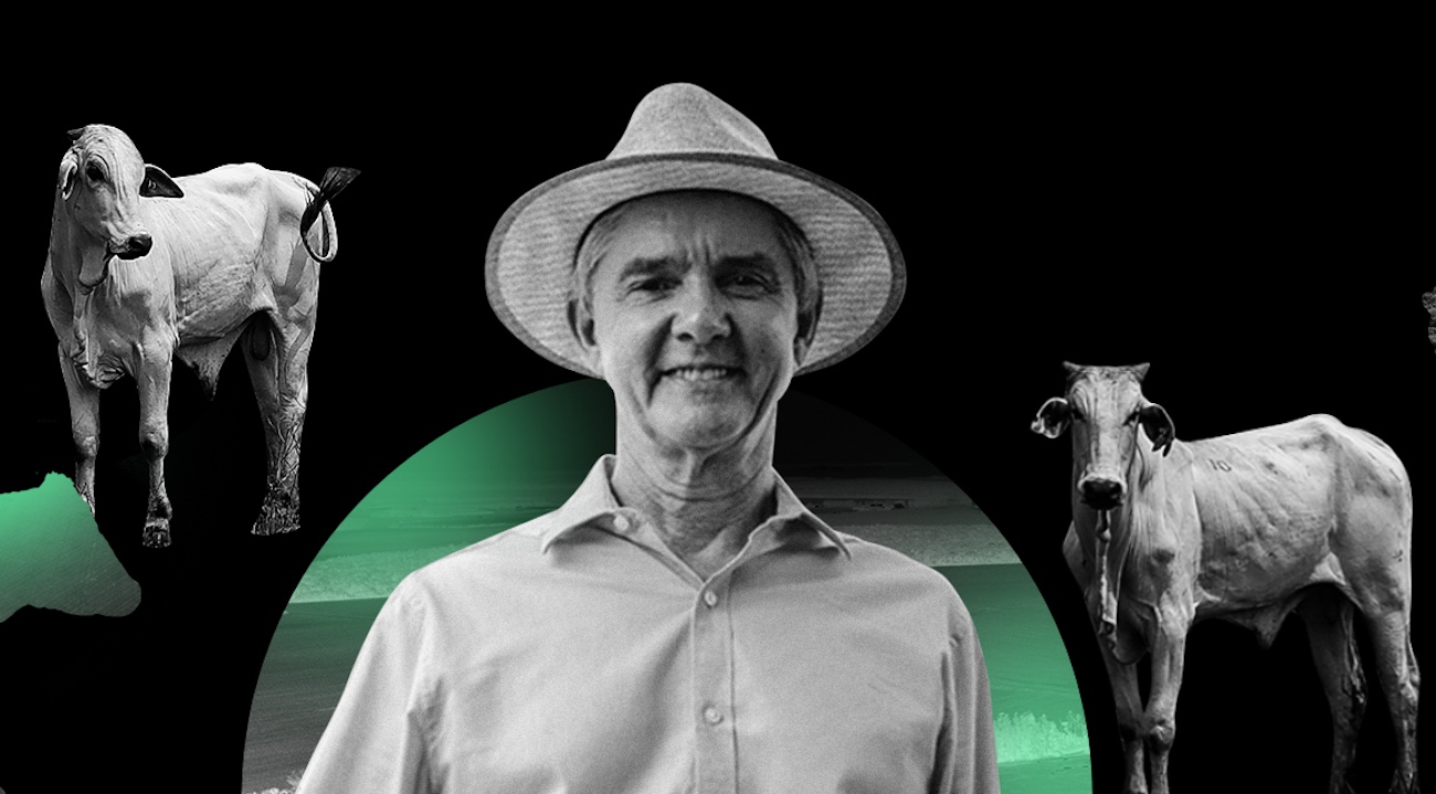 Minerva Foods: Senador Jaime Bagattoli admite compra de gado de áreas desmatadas e propõe redução da reserva legal na Amazônia