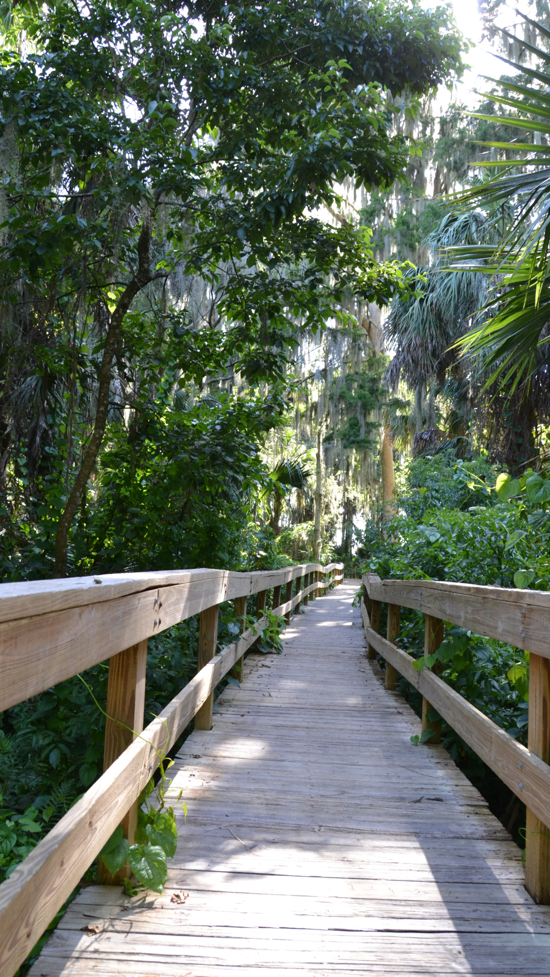 Finding home in nature