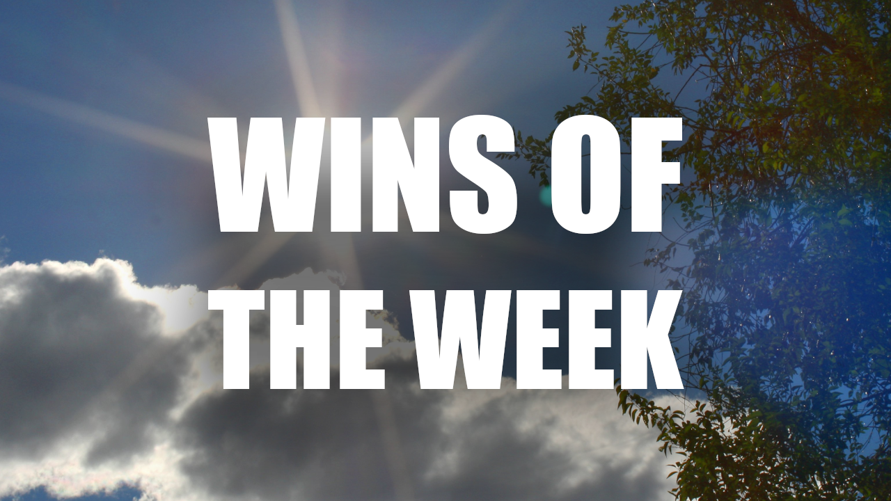 Wins of the Week Ep24 with Ted Kuntz