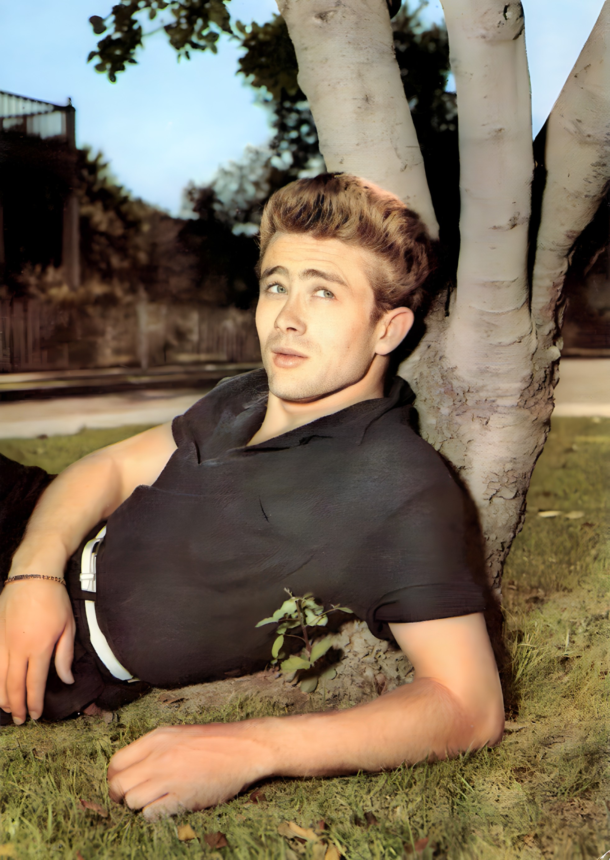 The Truth Behind James Dean’s Infamous 'Masturbating in a Tree'