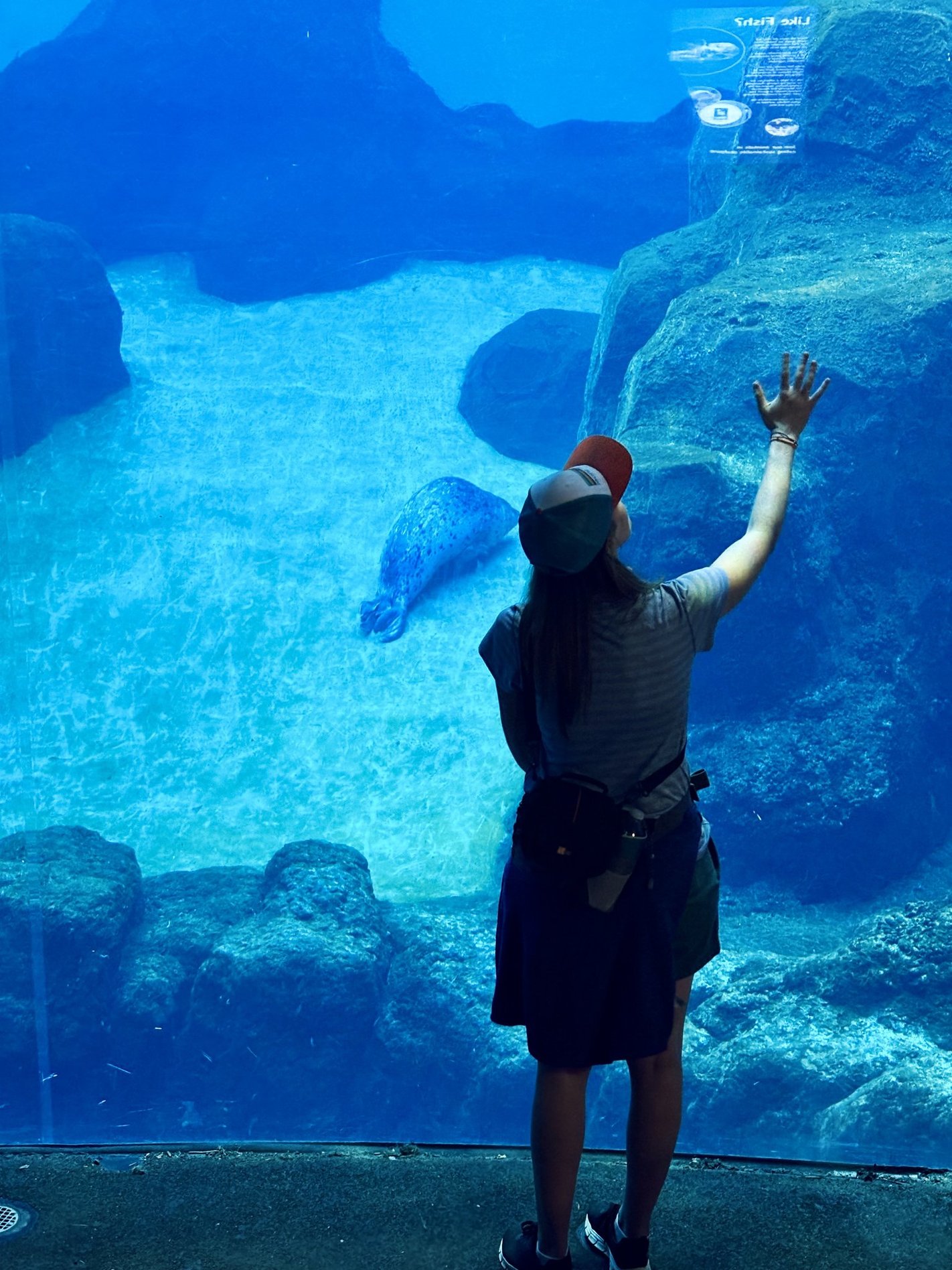 I took my inner kid to the zoo