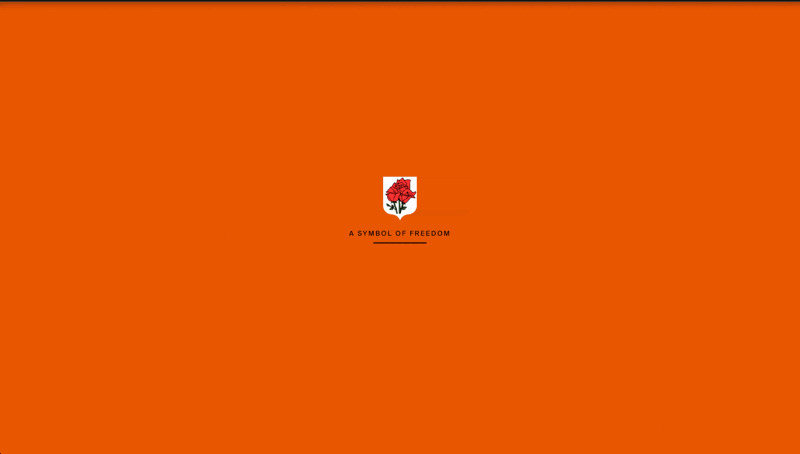 Don't Build Beautiful Websites ✨