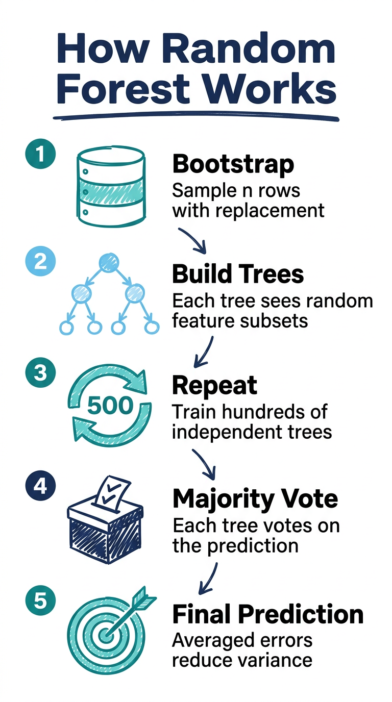 The random forest algorithm explained (with Python code you can use in ...