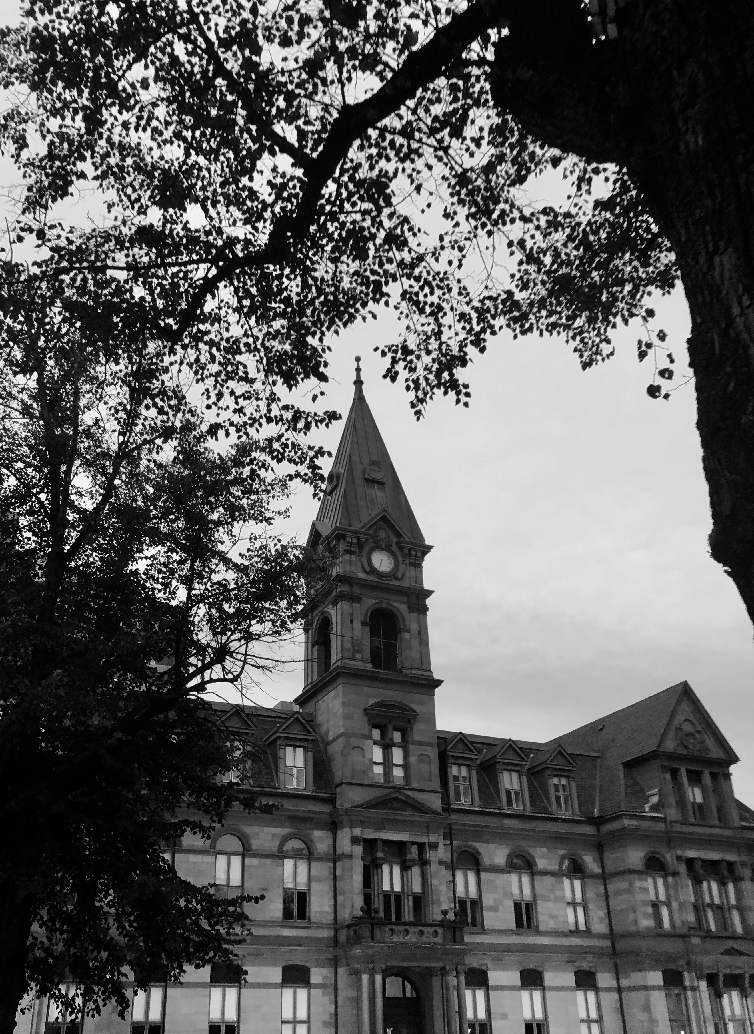 Province denies city plan, does damage control