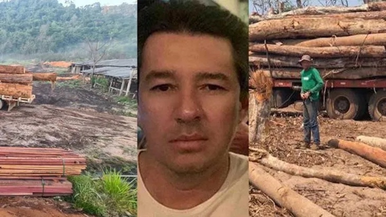 "Maior desmatador do Brasil" é solto: o controverso caso de Chaules Pozzebon em Rondônia