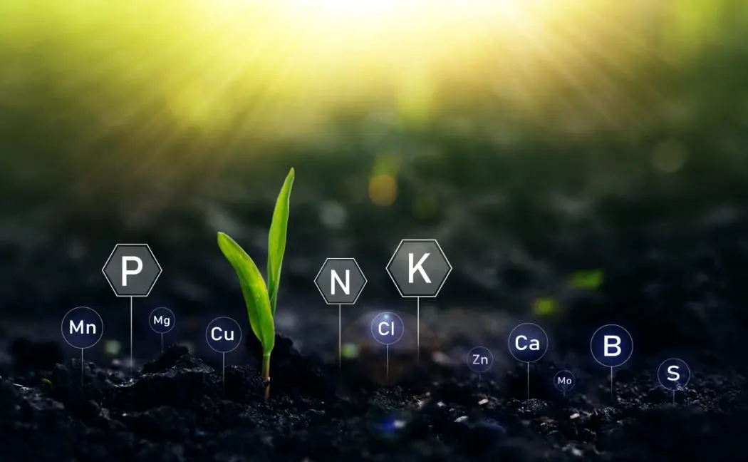 Comissão da Câmara aprova programa para fabricação de fertilizantes no Brasil