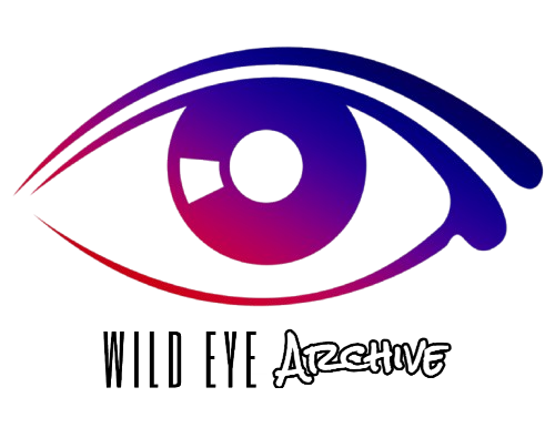 Substack banner for @wildeyearchive