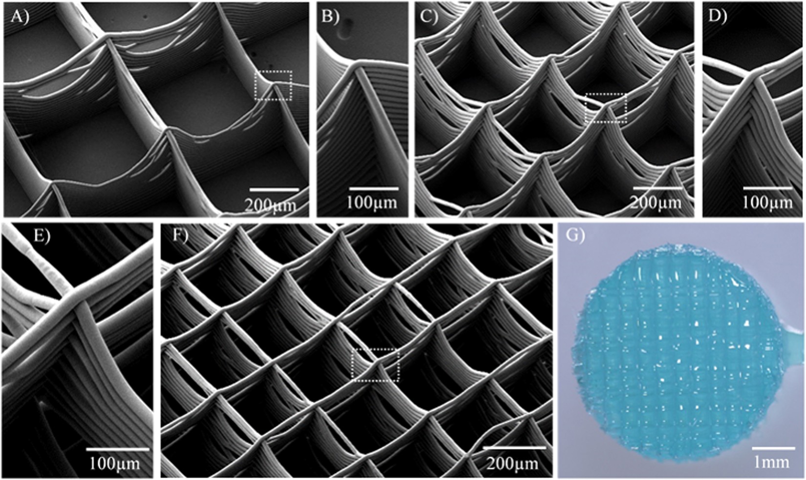 Mechanical behavior of a soft hydrogel reinforced with three-dimensional printed microfibre scaffolds | Scientific Reports