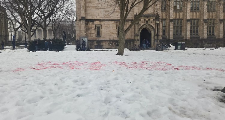 Hoax Confirmed: Anti-Semitism in the Snow (2026)