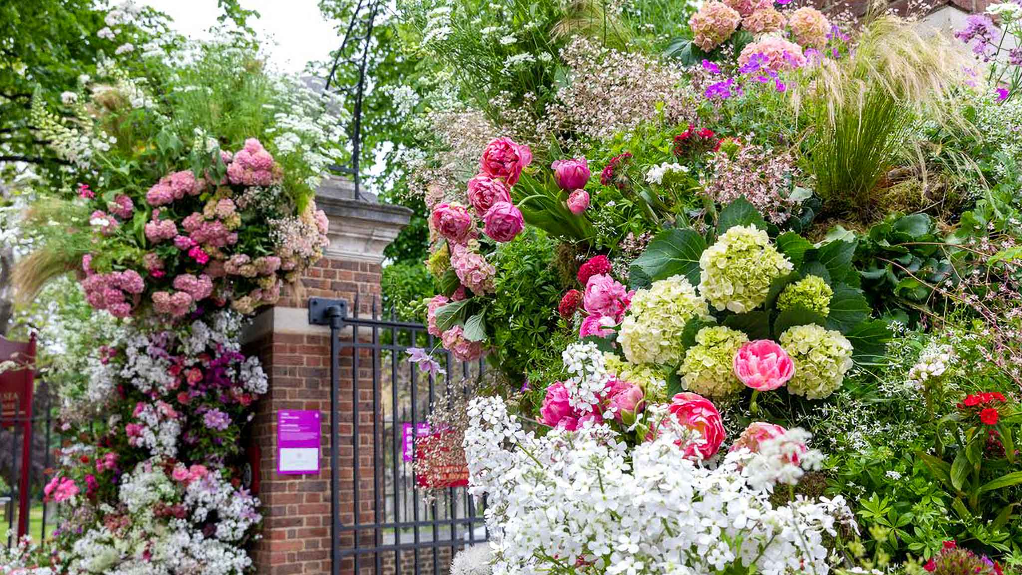 Honesty Rhs RHS Chelsea Flower Show 2026: My Very Honest Preview
