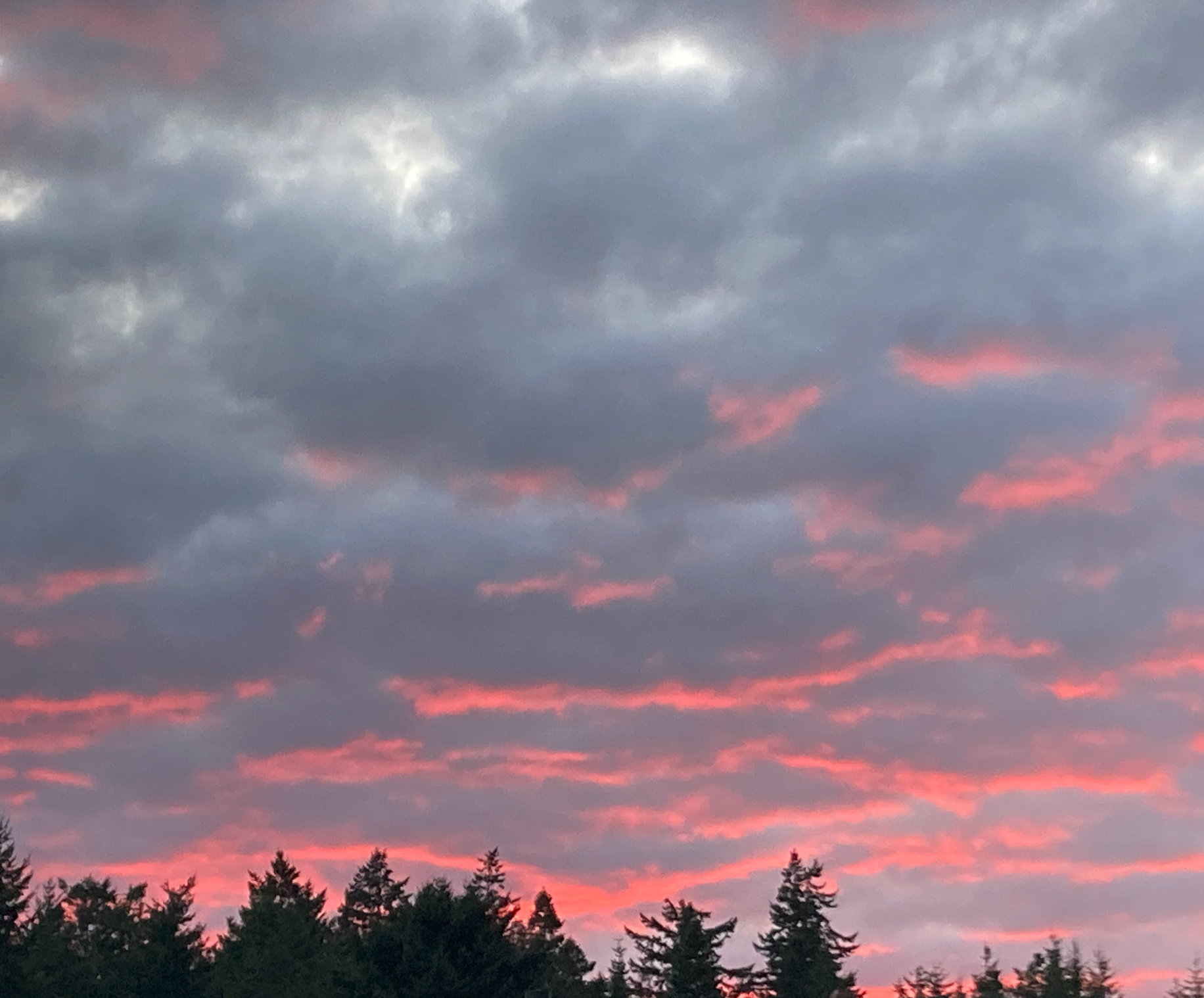 a cloudy sky with red light coming through in patches, with some trees at the bottom of the photo