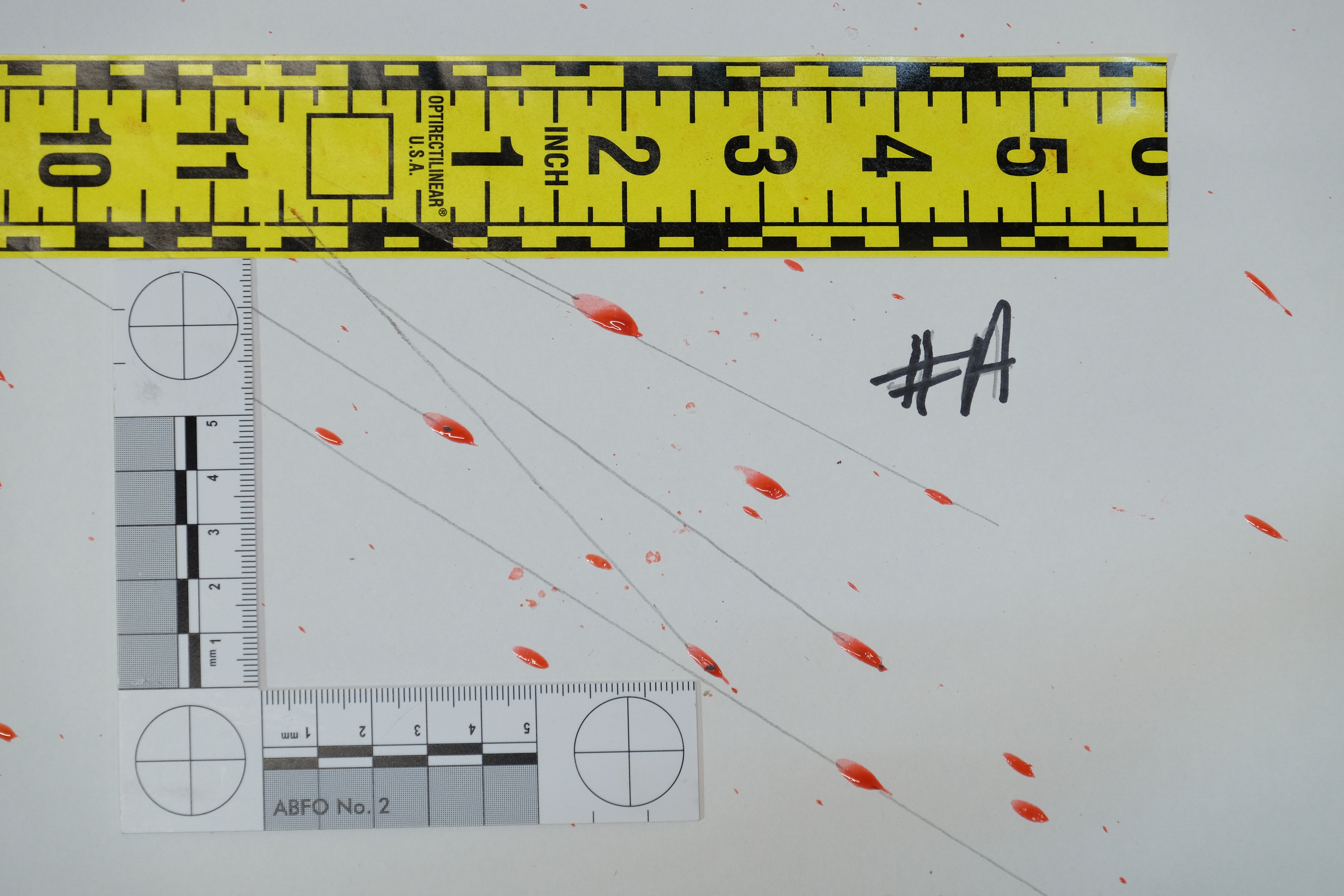 Capturing the Crime Scene - by Zack Kowalske