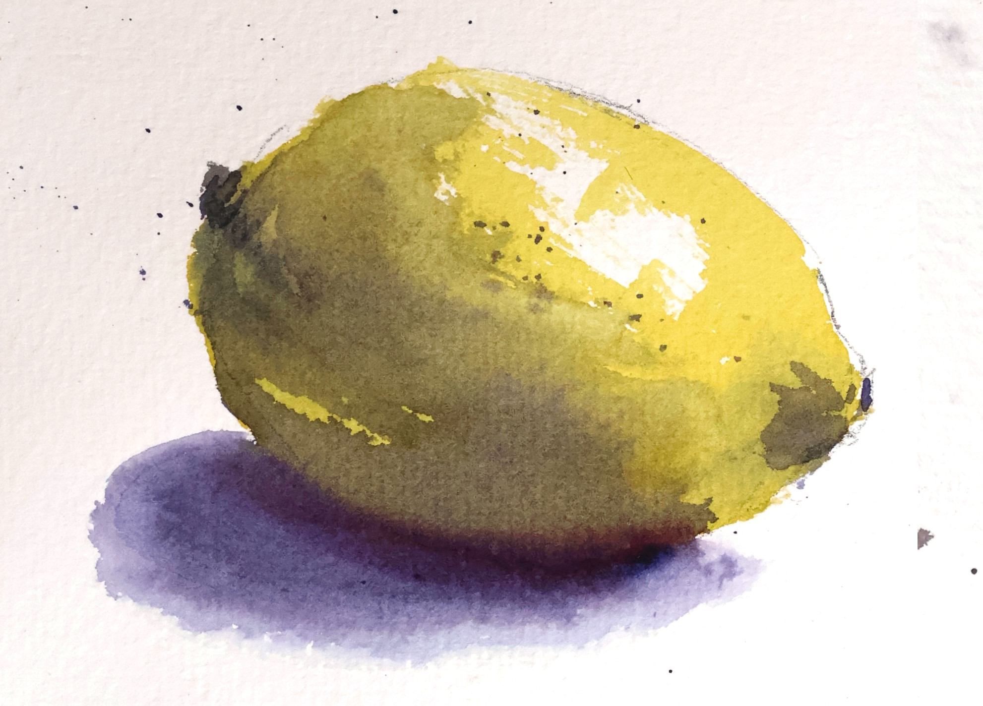 Lemon, Light and Shadow