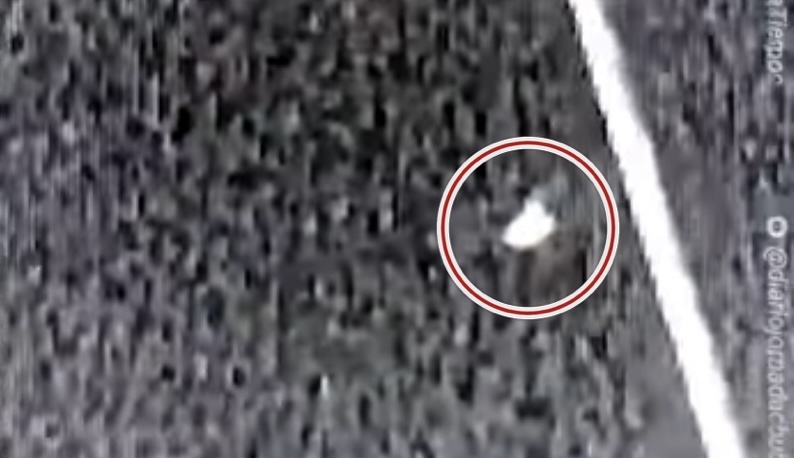 News article and UFO video: "CASES CONTINUE – Now, firefighters sighted 'flying objects' in Esquel"