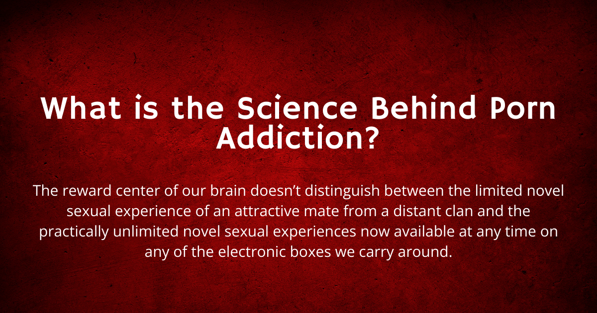 What is the Science Behind Porn Addiction?