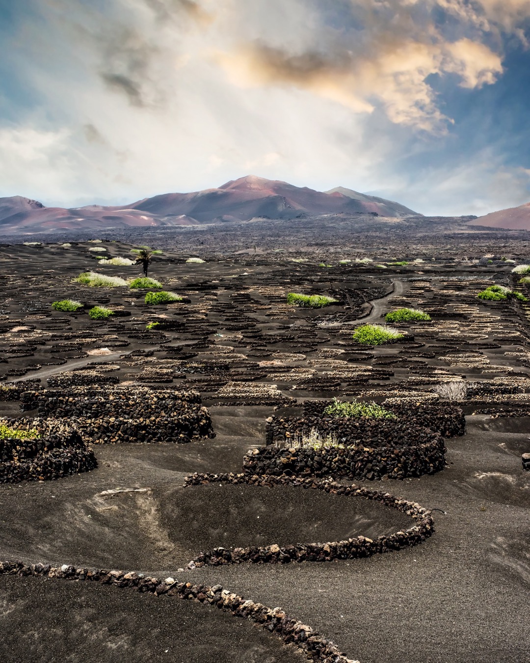 Samuel Whisperleaf (@travelwriter): "🌋 Farming… on a volcano? Welcome ...