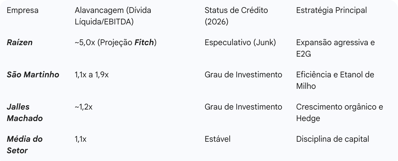 Raízen perde grau de investimento após rebaixamento drástico por agências de risco