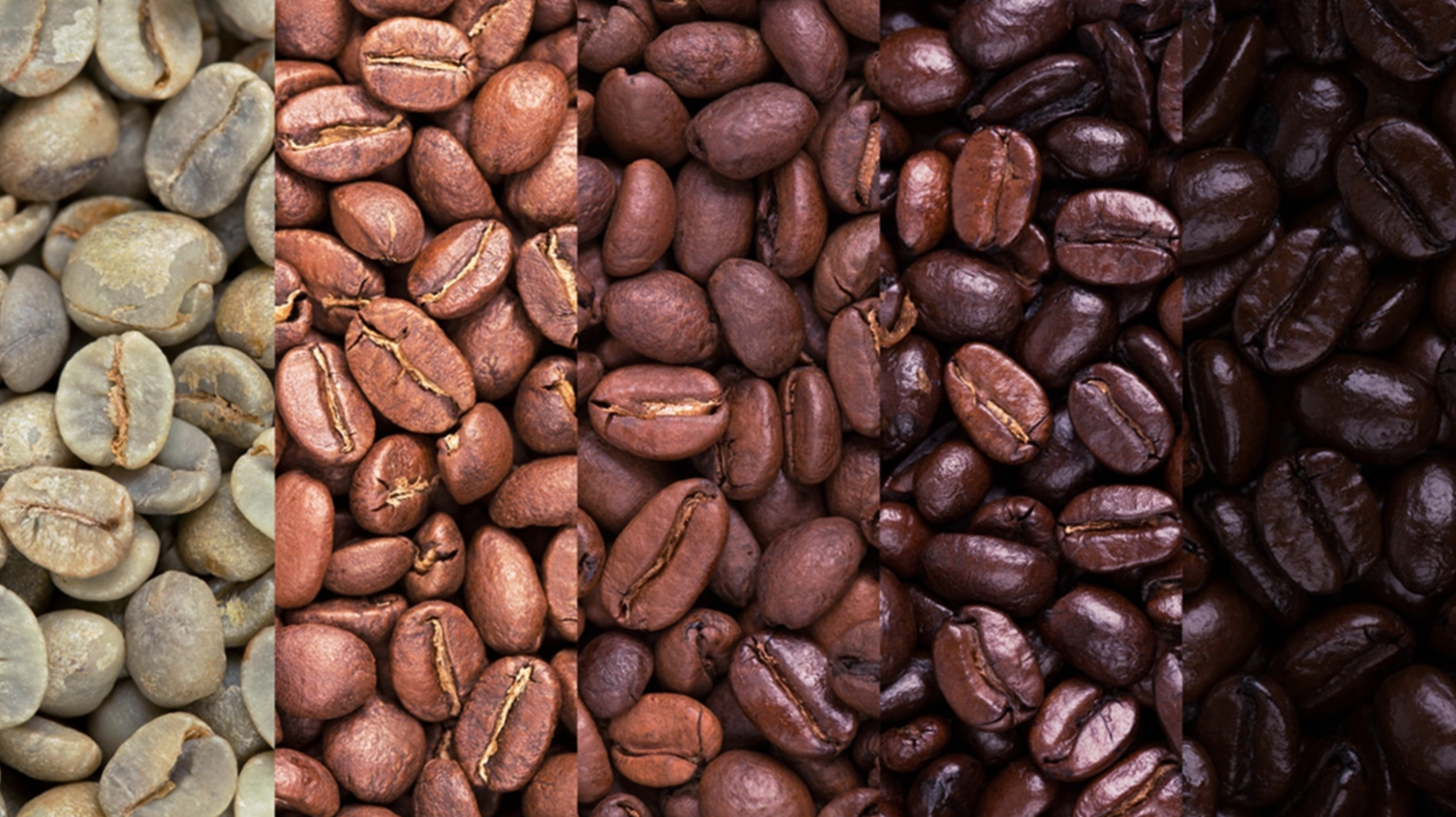 Coffee Smarter: Week 6