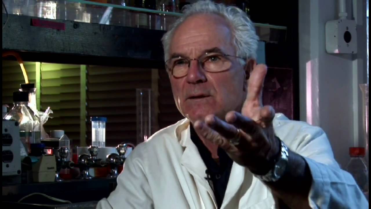 When a medical insider revealed how the immune system had been “turned upside down”; a total disaster