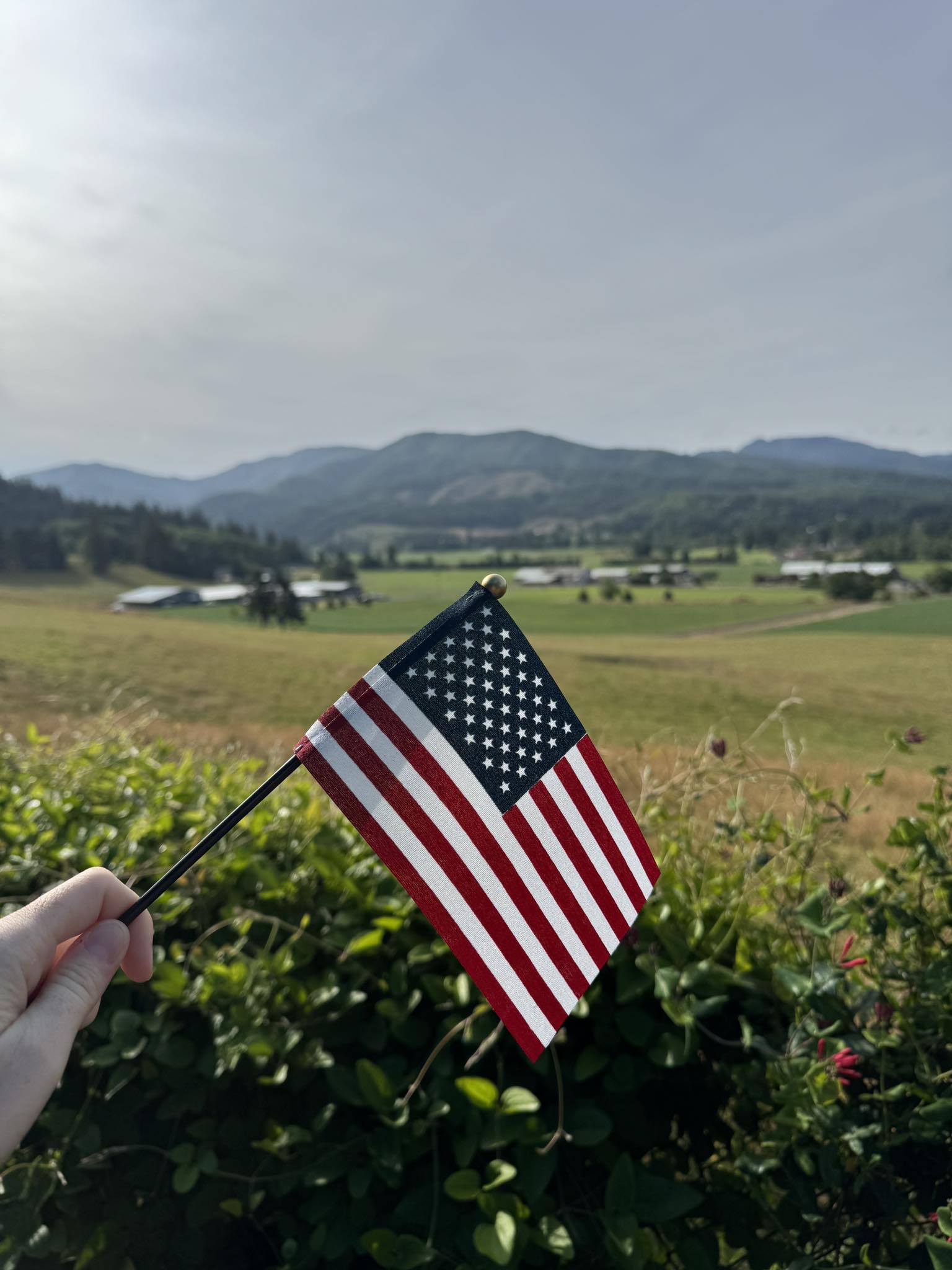 The white sparkly fireworks + potato salad slumber